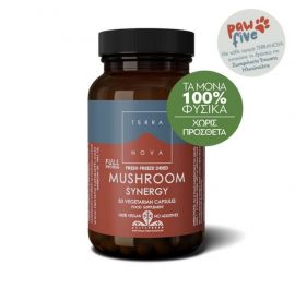 Terranova Mushroom Synergy Συμπλήρωμα Διατροφής με μανιτάρια για την ενίσχυση του Ανοσοποιητικού Συστήματος, 50 Caps